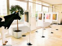 1 kuh.gallery - Ausstellungsbilder - &copy; kuh.gallery 2020